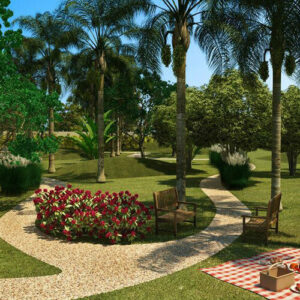 Projeto Rua Pernambucana – Allegrare